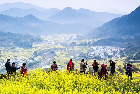 深度經(jīng)典-景德鎮(zhèn)婺源2日游走進婺源，中國醉美的鄉(xiāng)村，最后的香格里拉