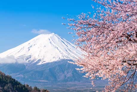 <日本三古都>巡禮親子7日游日本廣受歡迎親子游產品