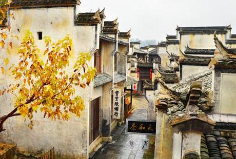 南昌到<廬山+石鐘山+鄱陽湖+景德鎮+婺源+黃山+宏村>5日游尊享團，真正0購物【僅限30人團隊】